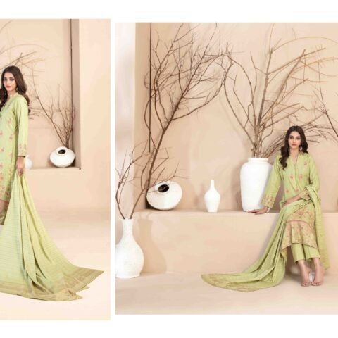 Vineeha D-2937 | Broshia Banarsi Lawn – JB